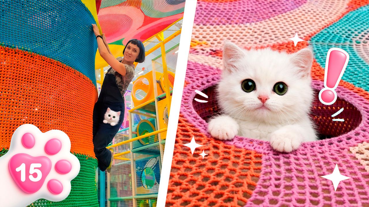 Котёнок Кефир в детском лабиринте! Играет и веселится вместе с Карлом и Дорианом