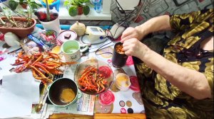 14-04 ЕСЛИ БЫ ВЫ МНЕ НЕ НАПИСАЛИ Я БЫ НЕ ЗНАЛА,АМЕРИКУ ОТКРЫЛИ,ЖИЗНЬ НА АЛТАЕ