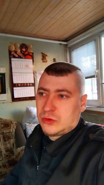 Делаем Вывод по Собаке Хаске