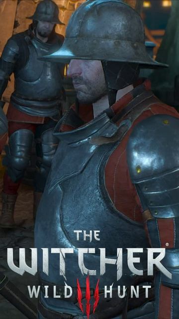 Какой шпион из ведьмака Поборы в городе  The Witcher 3 - Wild Hunt