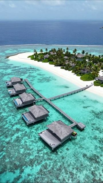Тропический рай: отпуск мечты на острове #отпуск #пейзаж #Мальдивы