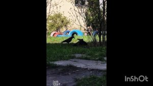 РАЗГОВОР ДВУХ ВОРОНОВ О СЕМЬЕ 14-04-2026