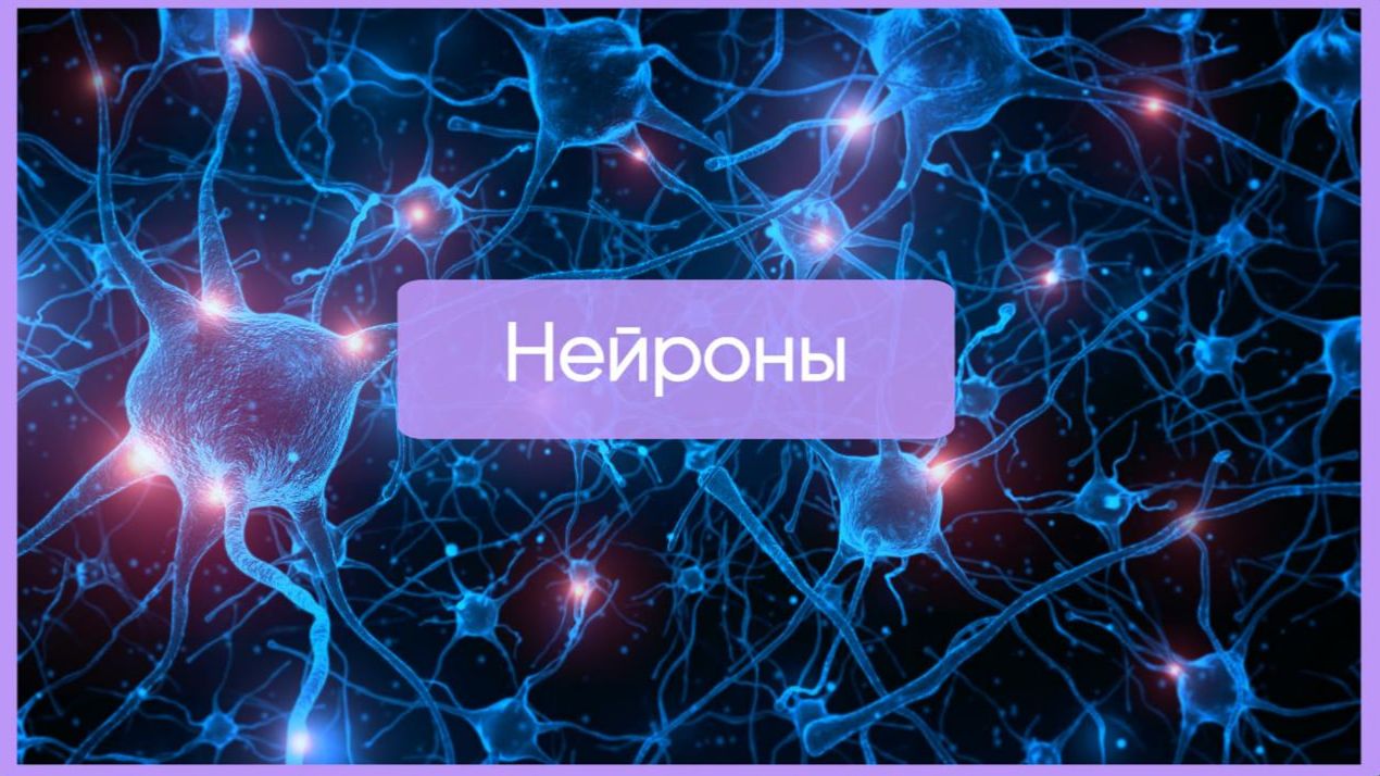 Нервная ткань┃synthesisschool