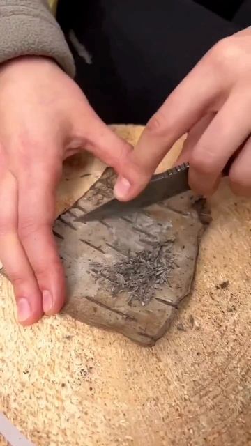 Видео от Выживание