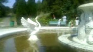 3)СОЧИ ДЕНДРАРИЙ ПАРК(2007 ГОД 8 СЕНТЯБРЯ)