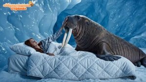 Кровать с тигром или медведем. Невероятно реалистичная ИИ - анимация.