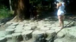 4)СОЧИ ДЕНДРАРИЙ ПАРК(2007 ГОД 8 СЕНТЯБРЯ)