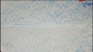 Тематическая неделя про космос, 13 гр