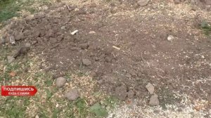 Совет! Как быстро убрать пень дерева на участке . Годный Лайфхак