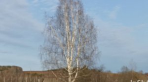 Снег не...растает и так ,но раскидываем!  С соседкой живём дружно. Вынесла помидоры.