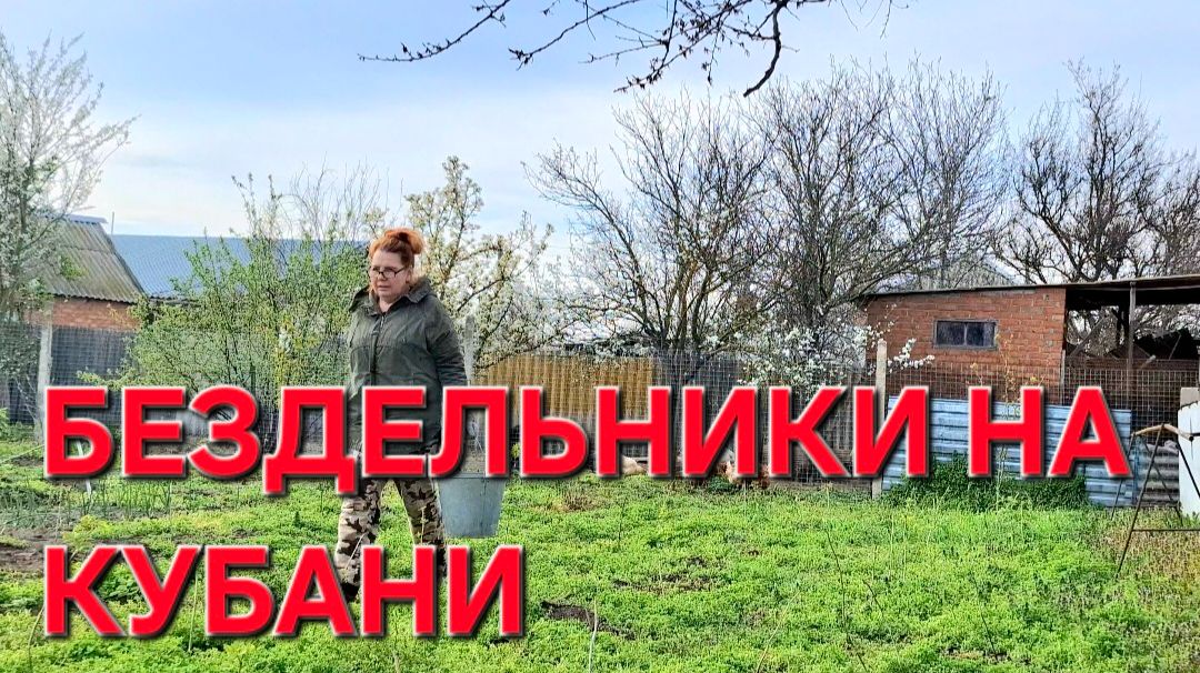 1074 Начались Тяжёлые дни. Как всё теперь успеть.Да у вас весь огород зарос.Бездельники.