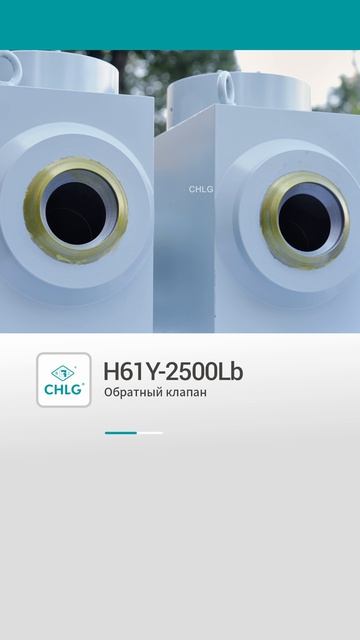 H61Y-2500Lb Обратный клапан-CHLG