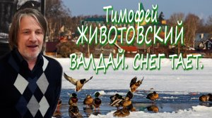 Тимофей Животовский - Валдай. Снег тает.