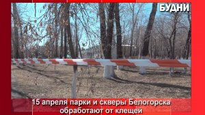 Парки и скверы Белогорска обработают от клещей