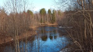 Как возникает проблема