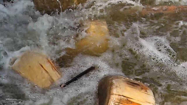 Купание Оболтусов в вешней воде