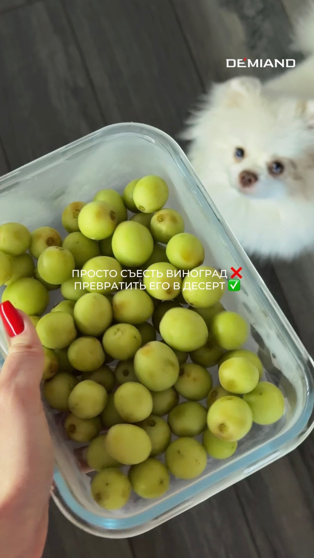 Освежающий сорбет на лето 🍋🟩