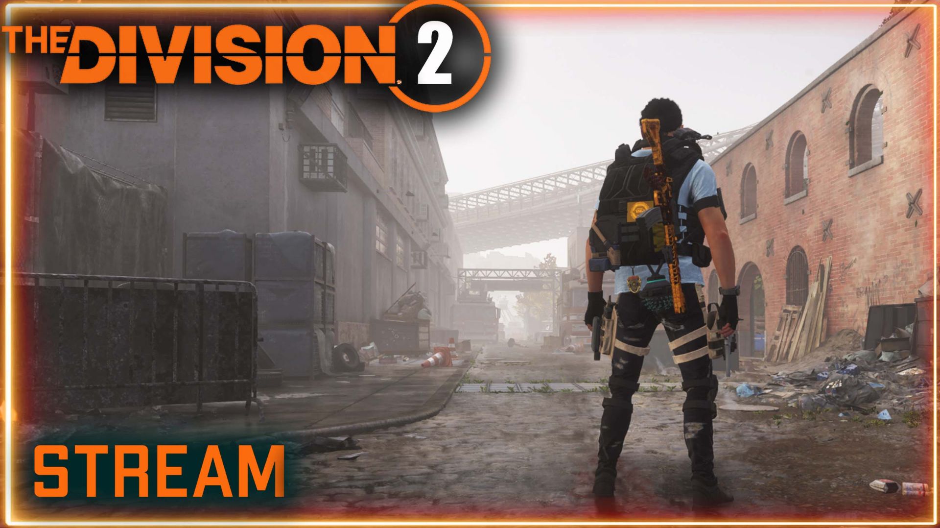 Division 2  stream ⚡Облава, ответные удары ⚡ ПВЕ ⚡ ПВП