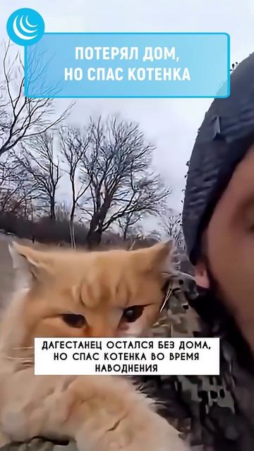 КАВКАЗСКОЕ МИЛОСЕРДИЕ мирадио