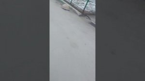 ИДУ В ШКОЛУ