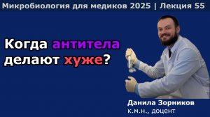 Флавивирусы