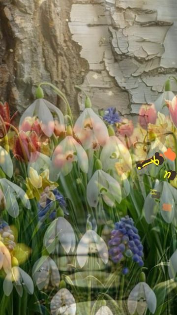 Хорошего дня!#доброеутро#весна#пожелания#  shorts