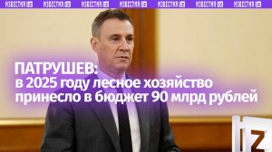 Патрушев отметил устойчивую позитивную динамику в воспроизводстве лесов в РФ
