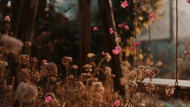 Сердце мое❤️