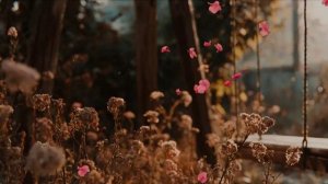 Сердце мое❤️