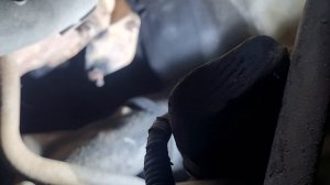 Фредлайнер г.Шахты ,замена форсунок ,прошивка 550 л.с.Настройка.лечение старых болячек.