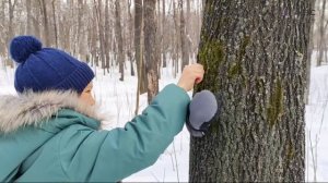 Быть умным модно_ЦДЮ_Енин Данил Ильич_4 класс_Маленький мир по микроскопом