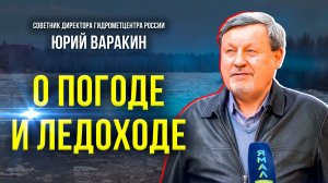 Сотрудник Гидрометцентра России рассказал, когда метеорологи прогнозируют ледоход на Ямале