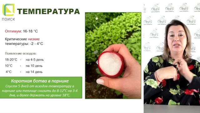 Обзор сортов редиса. Как правильно сеять редис. Уход подкормки и борьба с вредителями.