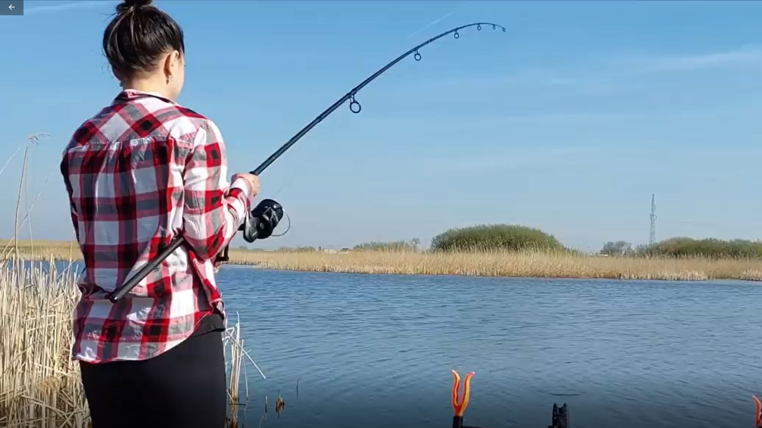 Огромные рыбины. Мощные поклевки. Карп, линь, карась. Лучшая рыбалка.