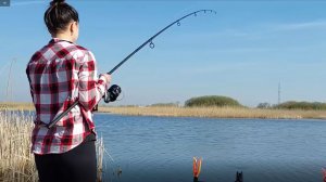 Огромные рыбины. Мощные поклевки. Карп, линь, карась. Лучшая рыбалка.