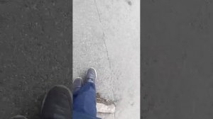 идём домой+ответы на вопросы