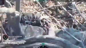 Группировка войск «Центр» продолжает уничтожать противника на Днепропетровском направлении.