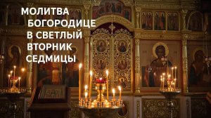 Молитва Богородице в Светлый Вторник Седмицы уберет порчу и сглаз🕯️