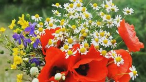 Михаил Сычёв К любимой на порог