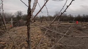 Участок после зимы. Уборки на месяц вперёд