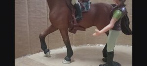 По ту сторону седла 2 серия