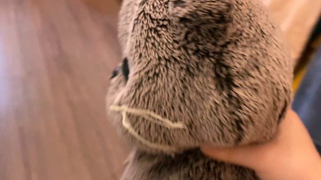 Волшебник  съел Басика