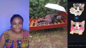 Коллекция неловких моментов, которые случаются с каждым — даже с вами 😅