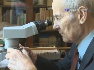 Александровский бульвар | Александр Родыгин