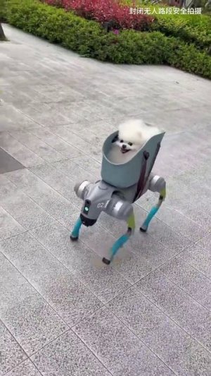 Именно до такого киберпанка мы дожили