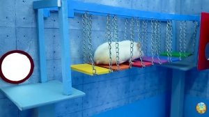 Хомячок убегает из красочного лабиринта с пауком! 5 часть