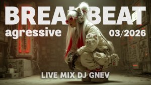 AGGRESSIVE BREAKBEAT MIX 2026 (1 HOUR)
