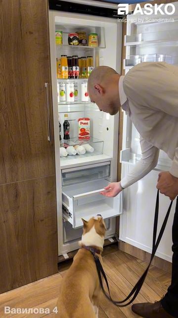 Мониторинг шоурума ASKO