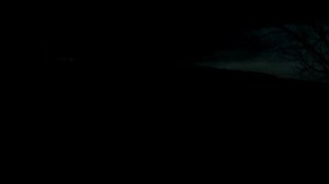 Весенняя охота на селезня