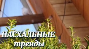 ПАСХАЛЬНЫЕ тренды и березовый КВАС : как прошел наш день в загородном доме.